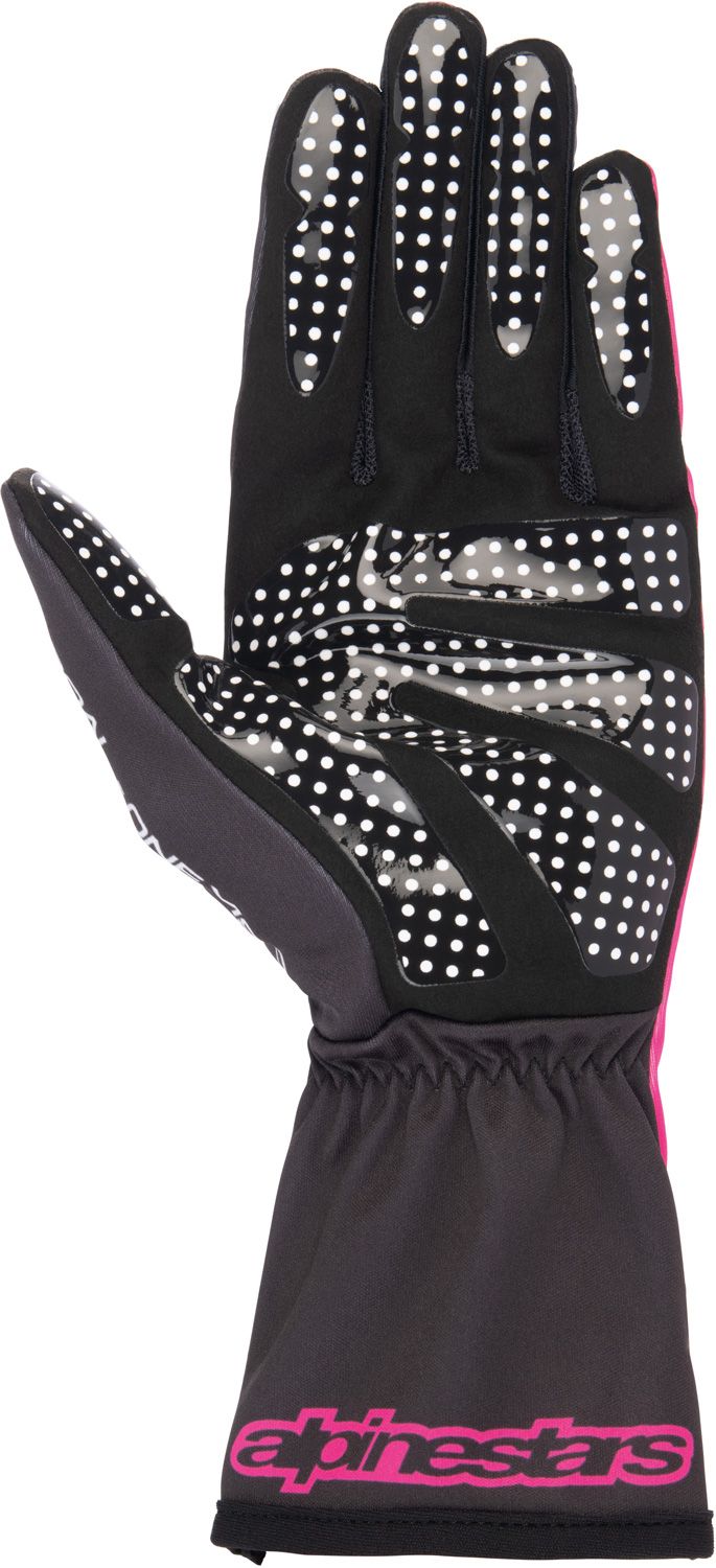 ALPINESTARS Tech 1K Race v2 Advance GLOVES 